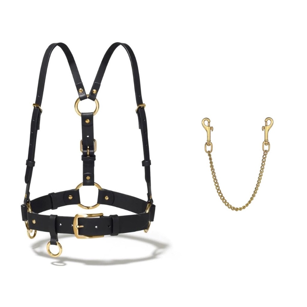 Ardeo Studios Brass Classic Belt Harness size XS/S + Brass Chain